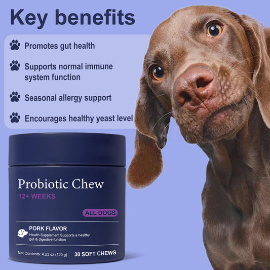 Bestselling cross-border e-commerce pet multivitamin 22-in-1 for dogs supports skin, joints, and overall health.