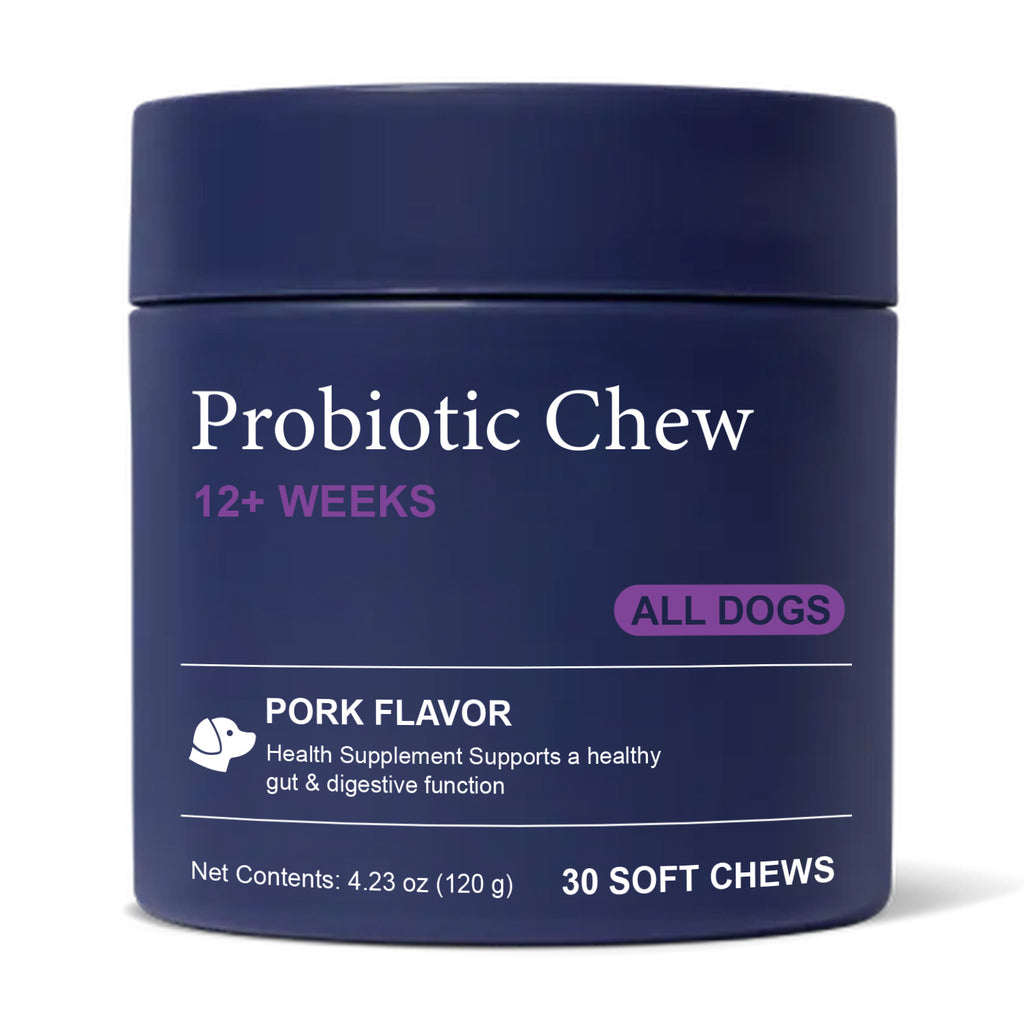 Bestselling cross-border e-commerce pet multivitamin 22-in-1 for dogs supports skin, joints, and overall health.