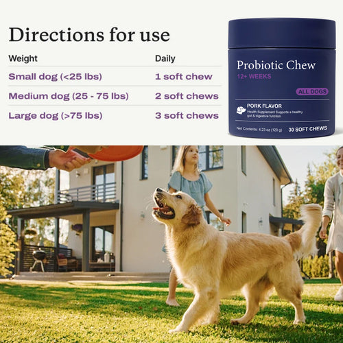 Bestselling cross-border e-commerce pet multivitamin 22-in-1 for dogs supports skin, joints, and overall health.