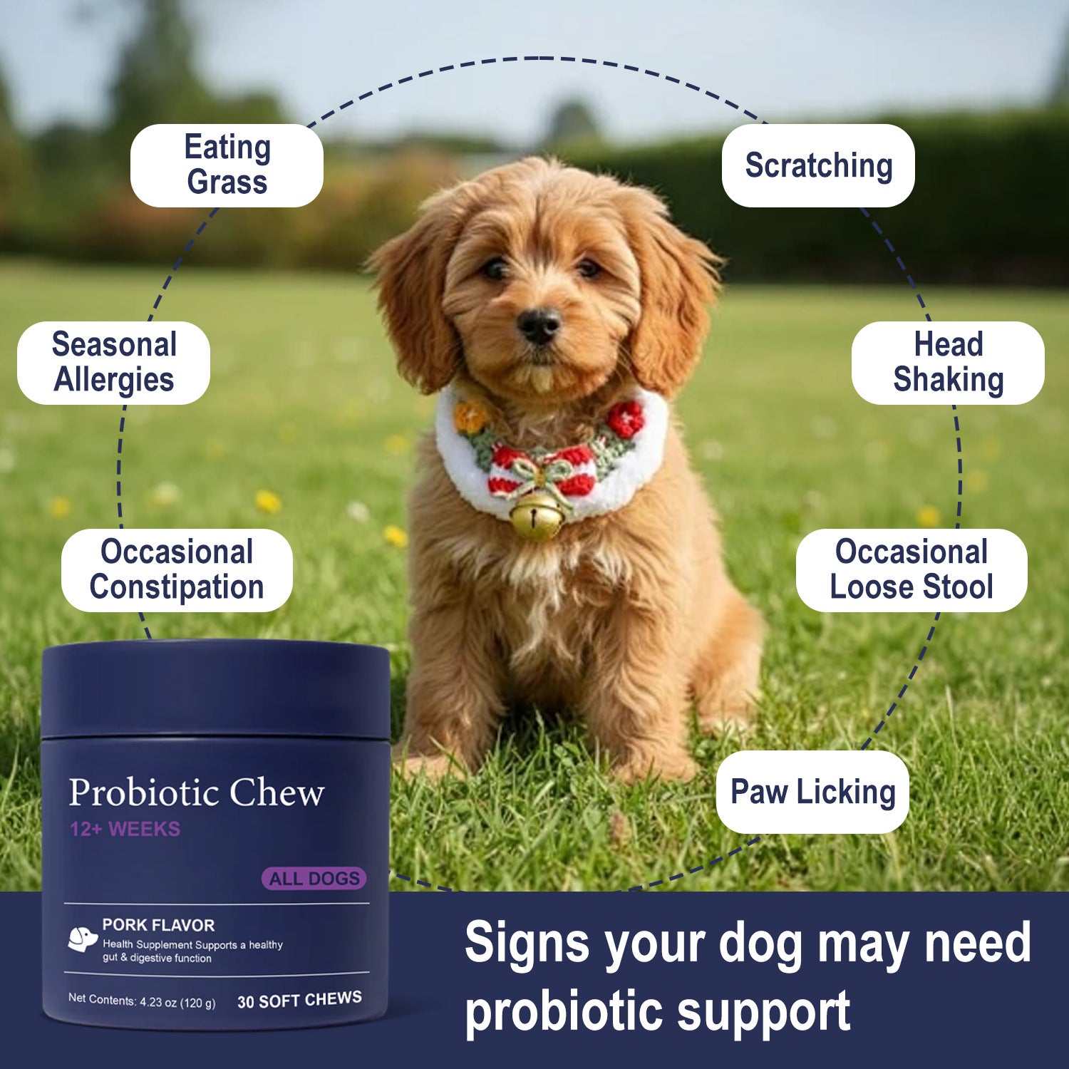 Bestselling cross-border e-commerce pet multivitamin 22-in-1 for dogs supports skin, joints, and overall health.